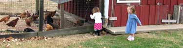 little girls with chickens