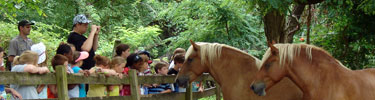 ranger with draft horses and students