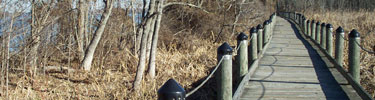 photo of Accokeek Creek boardwalk