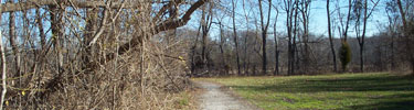 Photo of Accokeek Creek