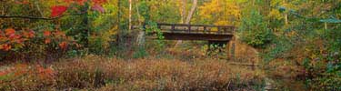 Bridge overlooking Quantico Creek