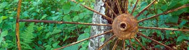 wagon wheel found in park