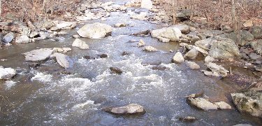Rock Creek
