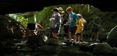 Junior Rangers