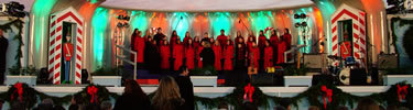 2005 Lighting of the National Christmas Tree Ceremony (NPS Photo by Donna Spiewak)