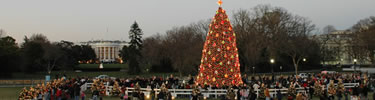 2006 National Christmas Tree (NPS Photo by Terry Adams)