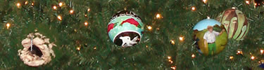 Holiday in the National Parks Ornaments