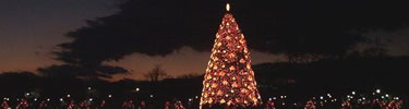 1999 National Christmas Tree
