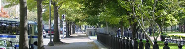 Scene from Lafayette Park sidewalk (NPS Photo by J. Feeney)
