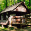  Misty Mount cabin