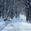 Snow on park road.