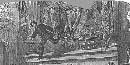 John Wilkes Booth Escapes