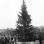 1923 National Christmas Tree