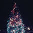 1936 National Christmas Tree