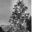 1948 National Christmas Tree
