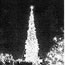 1954 National Christmas Tree