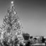 1963 National Christmas Tree