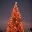 1969 National Christmas Tree 1969 National Christmas Tree