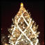 1975 National Christmas Tree