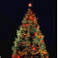 1978 National Christmas Tree 1978 National Christmas Tree