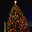 1990 National Christmas Tree 1990 National Christmas Tree