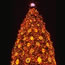 1993 National Christmas Tree