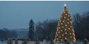 2005 National Christrams Tree (NPS Photo by Terry Adams)