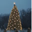 2005 National Christmas Tree (NPS Photo by Terry Adams)