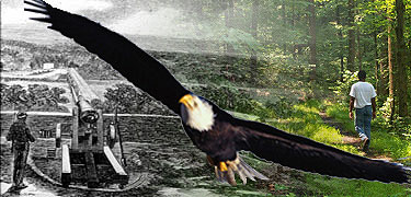 historic drawing of fort and modern day hiker with bald eagle flying over
