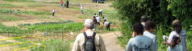 Taking a hike by the community gardens in Fort Dupont Park.