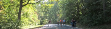 DC-ICE program FITS 2011