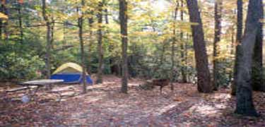 A tent in the Greenbelt campground