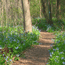 Take the Potomac Heritage Trail