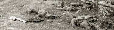 Historic Image of dead soldiers along the Hagerstown Turnpike
