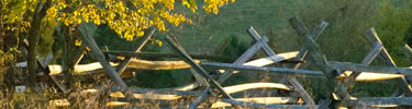 Fenceline