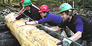 Volunteers Volunteers