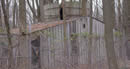Photo Maryland Gold Mine. Photo Maryland Gold Mine.