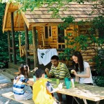 picnicing at table and cabin