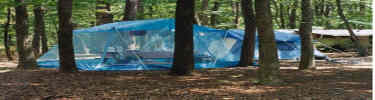 a tent in the campground