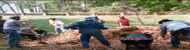 a picture of volunteers spreading chips