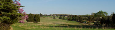 Buck Hill vista
