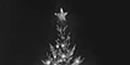A "Singing Tree" A "Singing Tree"