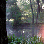 Wind and water dance to the music of the sun