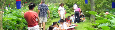 Visitors at Kenilworth Aquatic Gardens