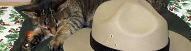 kitty_hat