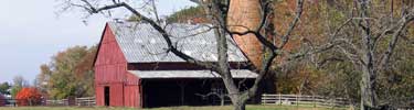 dairy barn