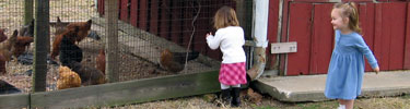little girls at the chicken coop