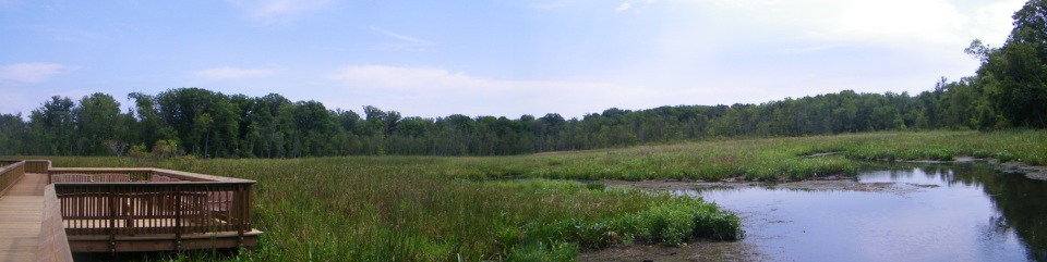 Piscataway