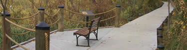 A place to relax near the swamp