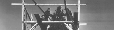 Men deocrating the National Community Christmas Tree (Library of Congress Prints & Photographs Division)